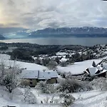 Moderne Avec Vue Panoramique A Proche De Montreux Daire Jongny