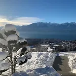 Moderne Avec Vue Panoramique A Proche De Montreux *