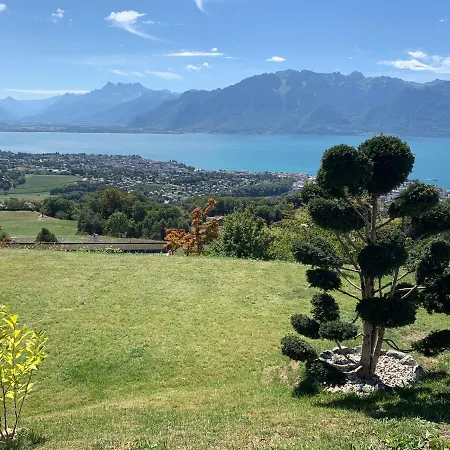 Moderne Avec Vue Panoramique A Proche De Montreux * Jongny