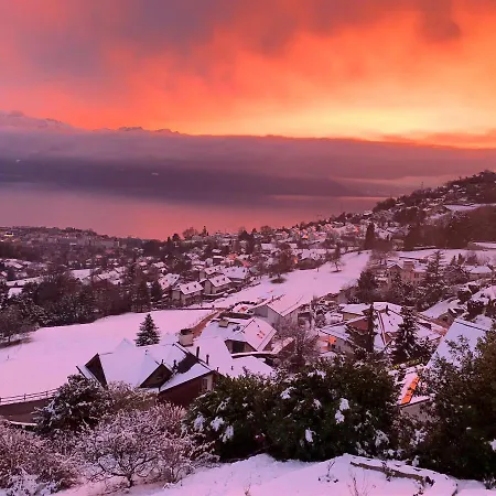 公寓 Moderne Avec Vue Panoramique A Proche De Montreux