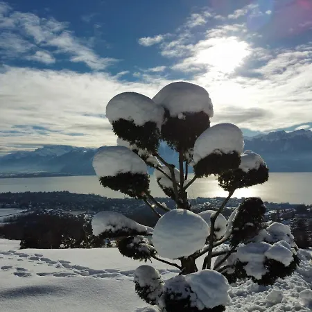 Moderne Avec Vue Panoramique A Proche De Montreux * Jongny