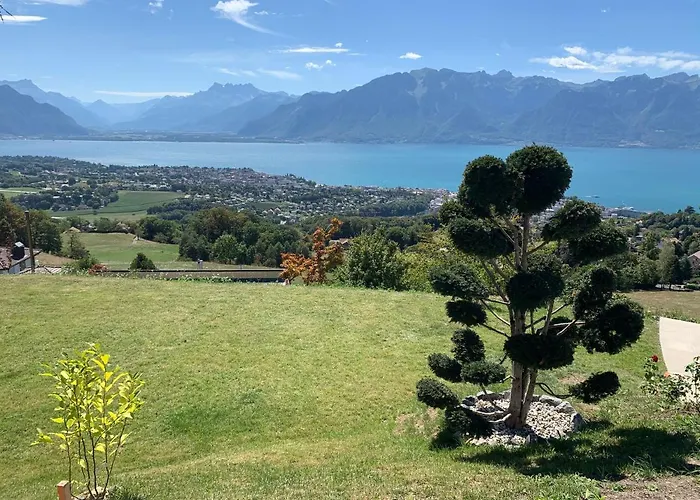 Moderne Avec Vue Panoramique A Proche De Montreux * Jongny