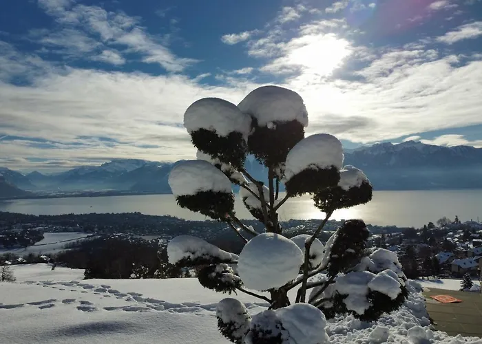 Moderne Avec Vue Panoramique A Proche De Montreux * 强尼