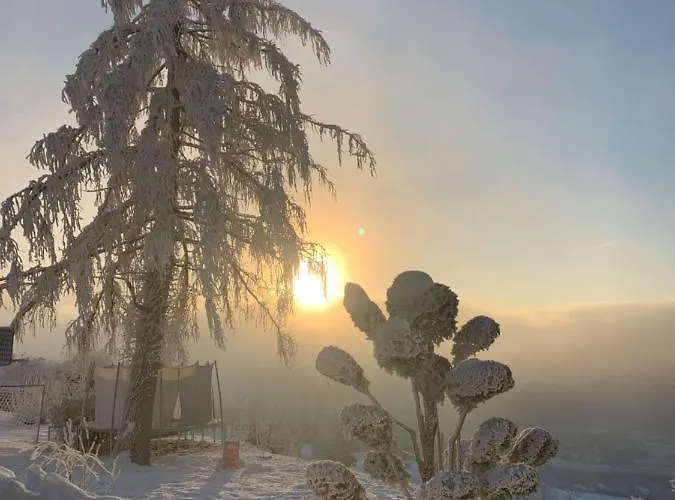 Moderne Avec Vue Panoramique A Proche De Montreux Jongny