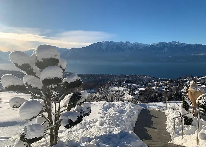 Moderne Avec Vue Panoramique A Proche De Montreux *