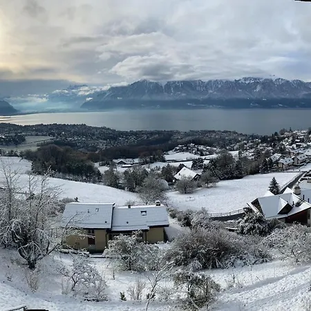 Moderne Avec Vue Panoramique A Proche De Montreux Lejlighed Jongny