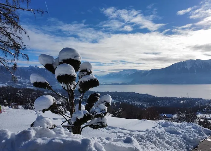 شقة Moderne Avec Vue Panoramique A Proche De Montreux *